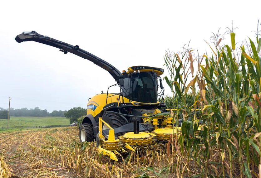 Yellow New Holland forage harvester cutting corn in a field under an overcast sky